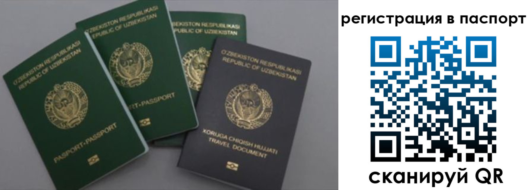 прописка от собственника в Мариинском Посаде